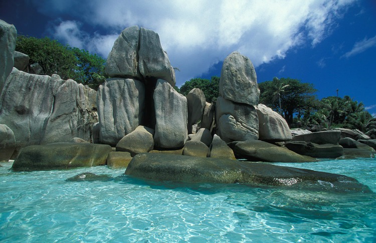 Isla de Coco: a tropical paradise - The Golden Scope